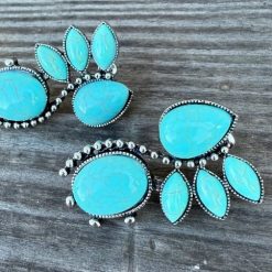 Sedona Fan Faux Turquoise Earrings