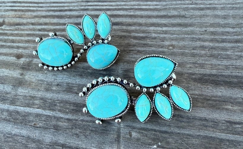Sedona Fan Faux Turquoise Earrings