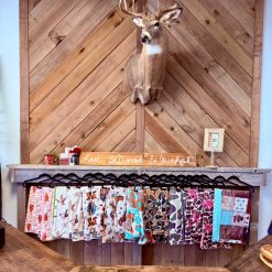 Minky Western Blankets